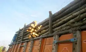 ۱۵ تن چوب قاچاق از یک دستگاه کامیون در سروآباد کشف شد