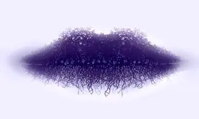 شخصیت خود را با اولین چیزی که در تصاویر می‌بینید بشناسید