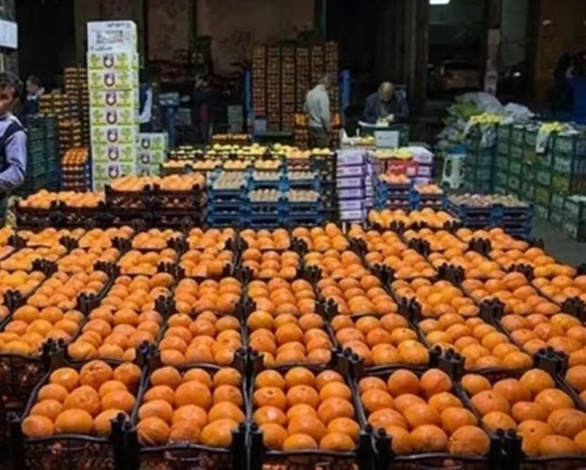 ذخیره ۳۰۰ تن سیب در سردخانه های استان/ اجرای طرح نظارتی ویژه