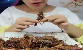 ملخ پلو یک نهار خوشمزه