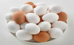 علت ارزانی مرغ و تخم مرغ چیست؟/ آیا این کاهش قیمت ادامه خواهد داشت؟