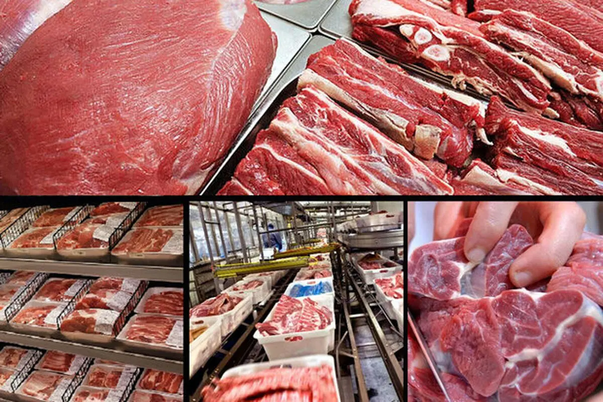 توزیع هفدهمین محموله گوشت گرم گوسفندی در بندرعباس