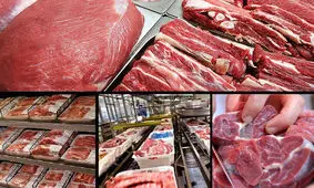 توزیع هفدهمین محموله گوشت گرم گوسفندی در بندرعباس