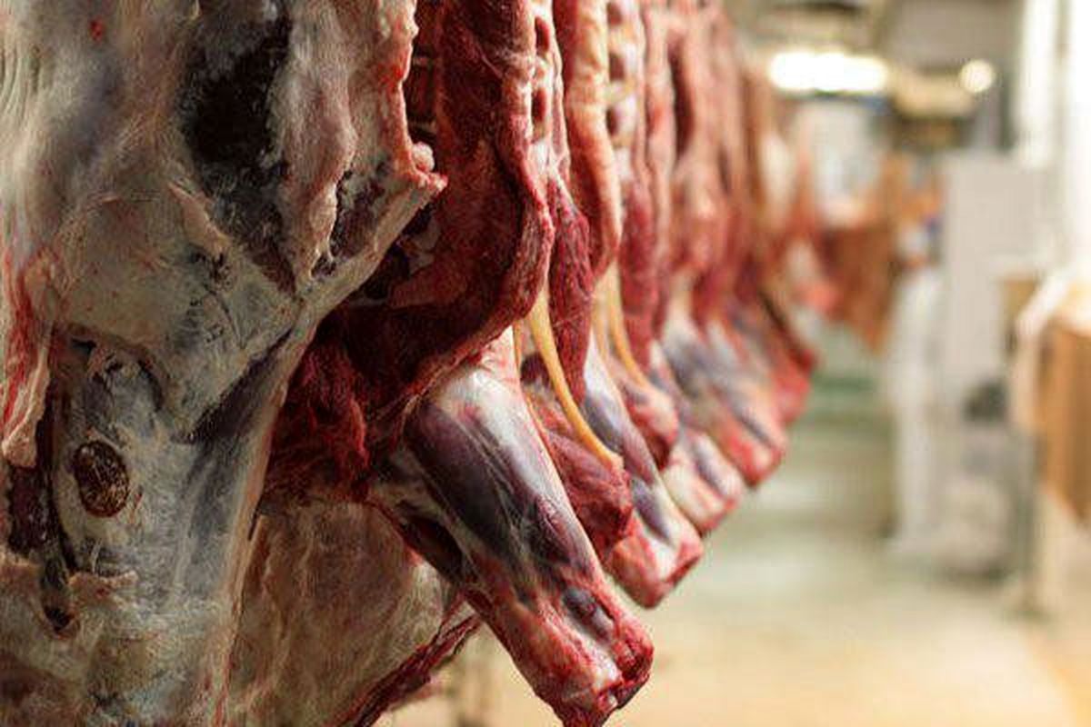 عدم تامین ارز گوشت وارداتی صحت ندارد/ بانک مرکزی مسوول 25 هزار تن گوشت نیست