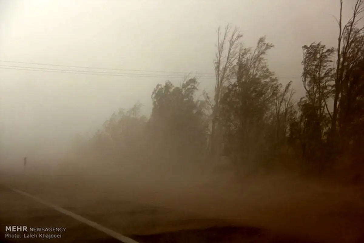 شرق کرمان همچنان درگیر گرد و خاک/منتظر بارش های خوب در بهمن باشید