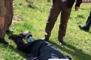 دلیل خودکشی مسئول دژبانی در فیروزآباد فارس اعلام شد