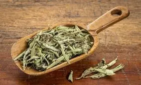 سرمایه گذاری ۲۰۰ میلیارد تومانی برای کاشت و فناوری گیاه استویا در گلپایگان