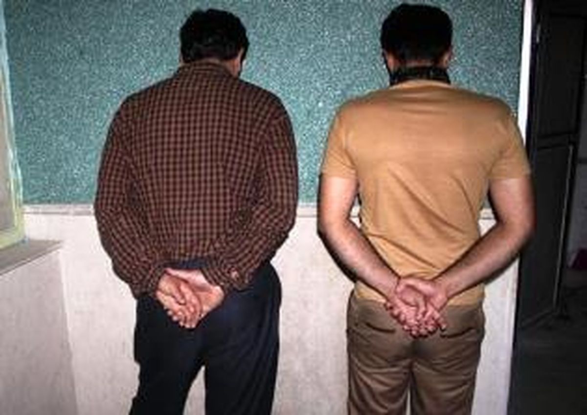 دستگیری سارقان حرفهای در تالش