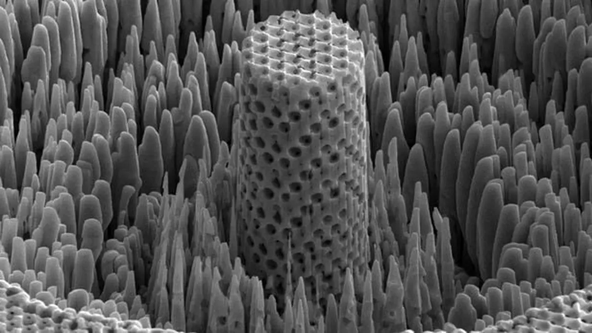 "چوب فلزی" ابداع شد!