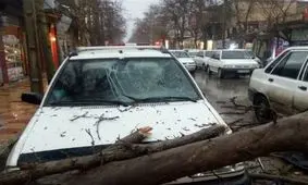 سرعت طوفان در کوهدشت به ۶۸کیلومتر بر ساعت رسید