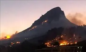 آتش سوزی گسترده در جنگل‌های آفریقای جنوبی + فیلم