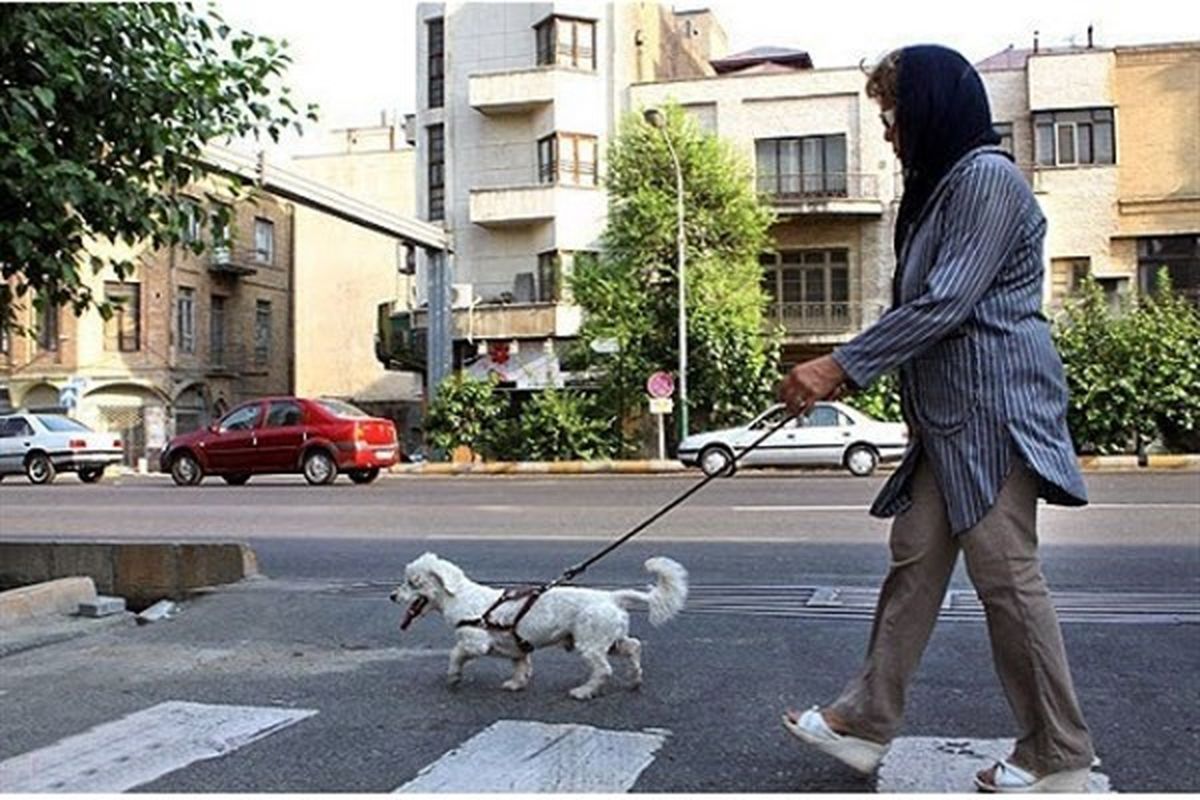 سگ گردانی در تهران ممنوع شد
