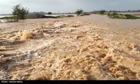 باران ۱۲۰ میلیارد ریال به اراضی کشاورزی اندیمشک خسارت وارد کرد