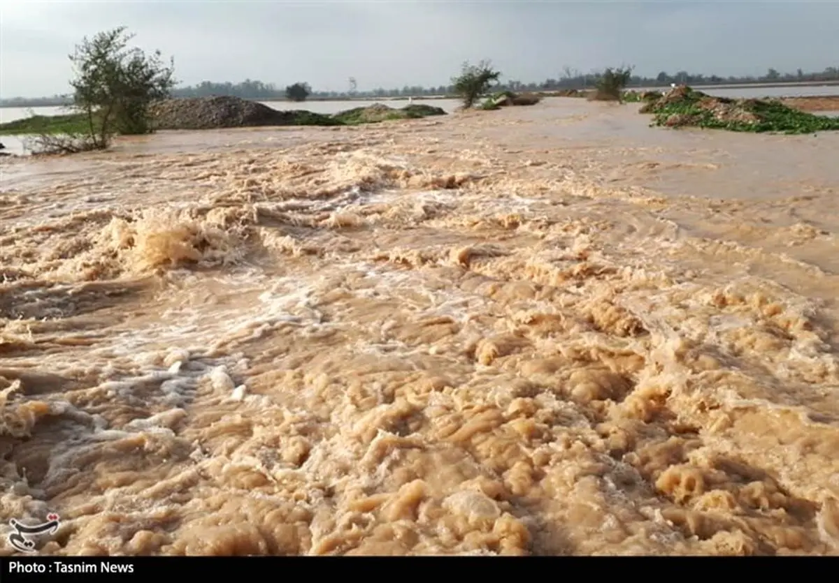 باران ۱۲۰ میلیارد ریال به اراضی کشاورزی اندیمشک خسارت وارد کرد