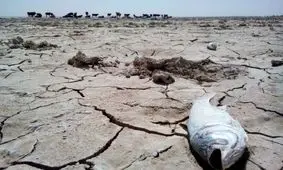 آخرین وضعیت خشکسالی در ایران