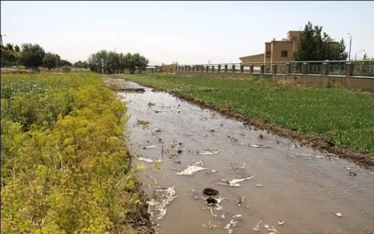 شکستگی لوله نفت به زمین های کشاورزی دهلران خسارت زد