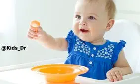 تهیه غذای كمكی، ارجحیت با غذای خانگی است یا غذای كمكی تجاری؟