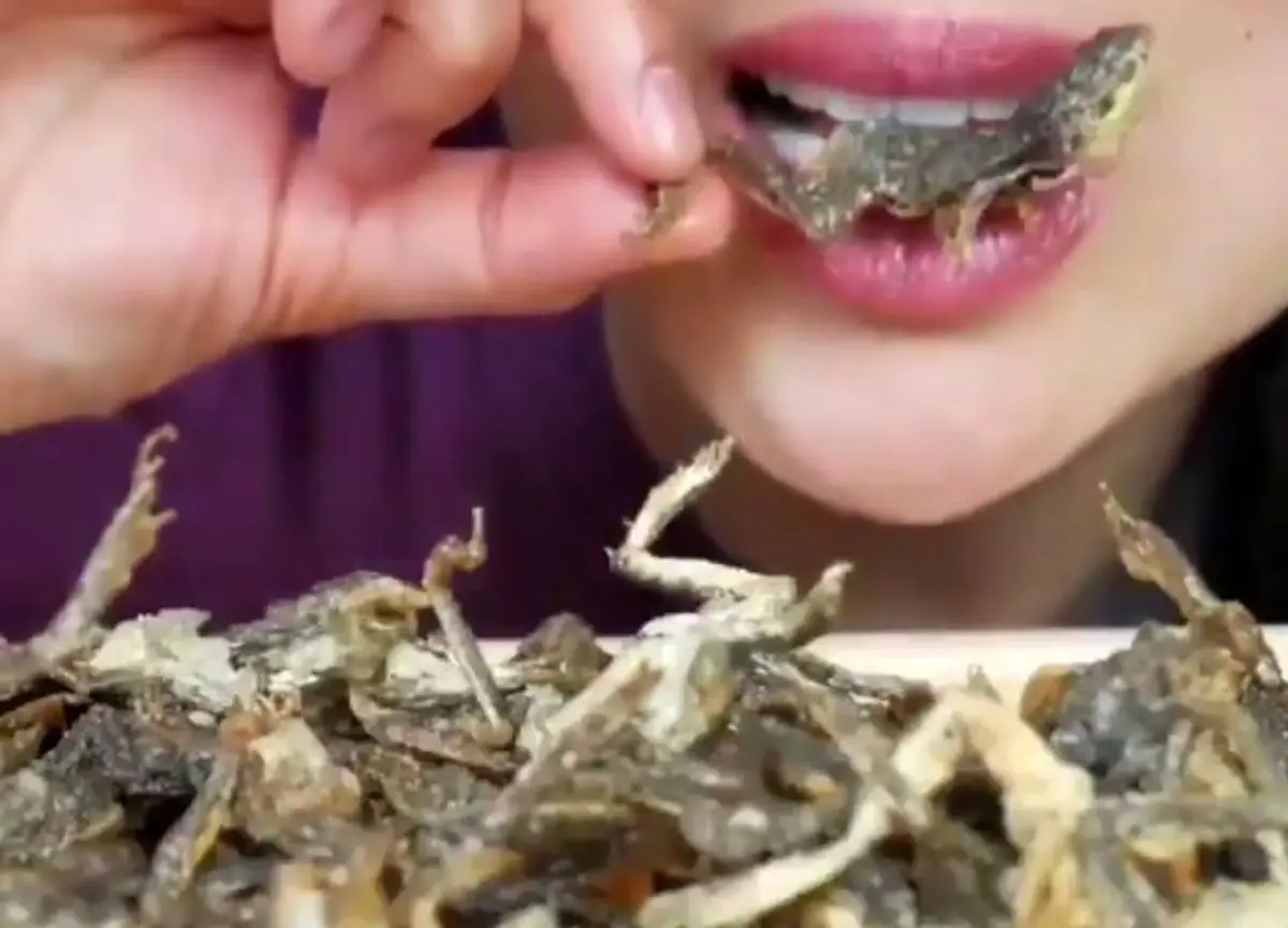 طریقه خوردن مارمولک سوخاری