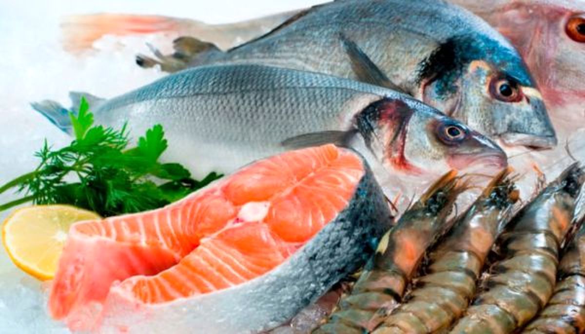 آیا قیمت ماهی و میگو در ماه آتی افزایش خواهد یافت؟