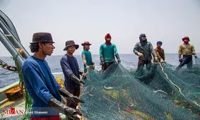 واکنش فرمانده سپاه به صید چینی‌ها در جنوب ایران