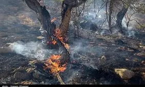 آتش‌سوزی در منابع طبیعی استان کرمانشاه ۸۲ درصد کاهش یافت