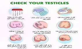 تورم بیضه سرطان شایع در مردان