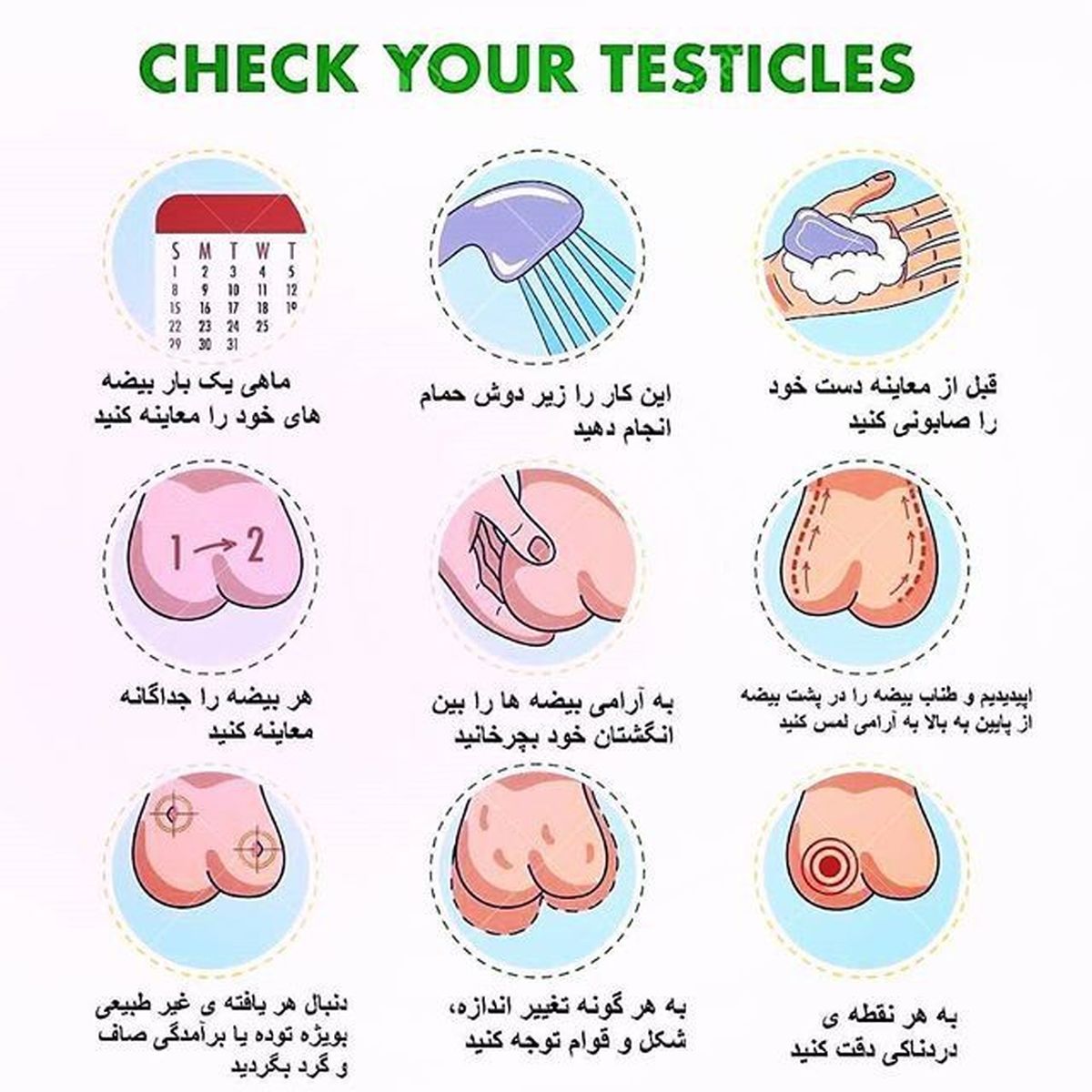 تورم بیضه سرطان شایع در مردان