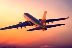 عشق و ازدواج عجیب یک زن با هواپیما ! +عکس