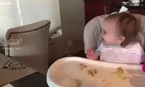 همه سگ ها بد نیستند!!!