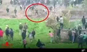 حمله پلنگ خشمگین به اهالی یک روستا+فیلم