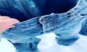 چالش شلوار یخ زده