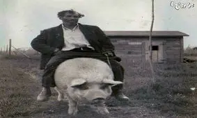 دیدن این عکس‌های قدیمی حتما برایتان جالب است