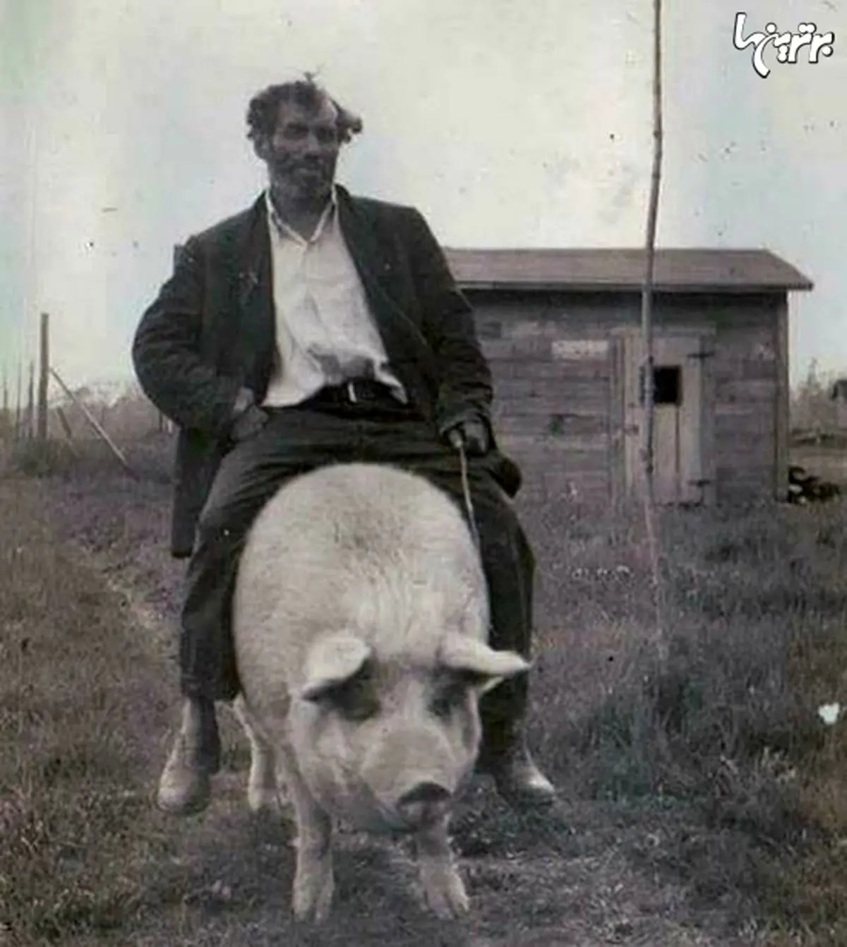 دیدن این عکس‌های قدیمی حتما برایتان جالب است