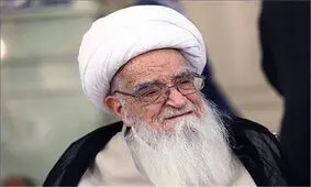 آیت‌الله نوری همدانی با آیت‌الله صافی گلپایگانی دیدار کرد
