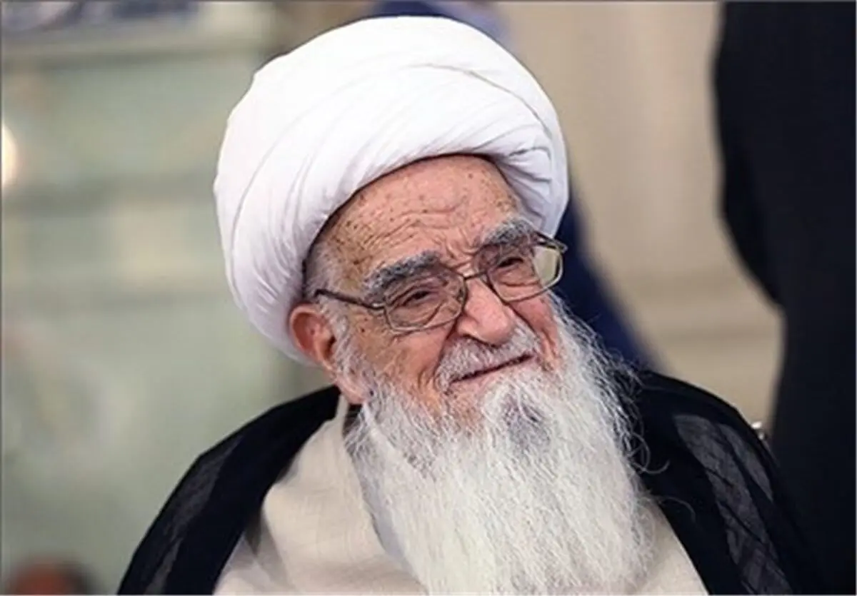 آیت‌الله نوری همدانی با آیت‌الله صافی گلپایگانی دیدار کرد