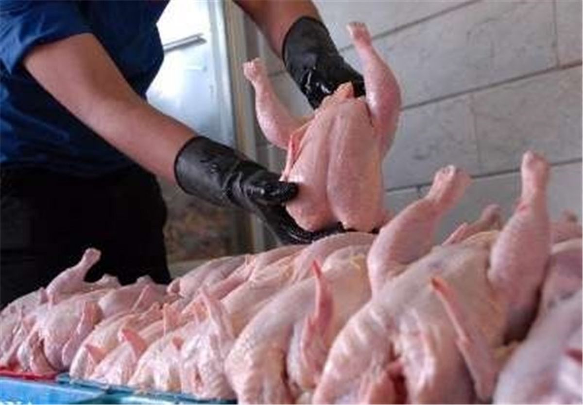 ۳۰ هزار تن گوشت سفید در روزهای آینده وارد بازار می‌شود