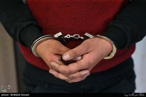 دستگیری عضو شورای شهر ملارد تأیید شد