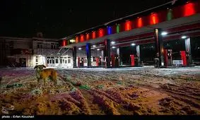 محور فیروزکوه به سمنان به علت کولاک شدید مسدود شد