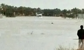 اتوبوس گردشگران عمانی گرفتار در سیلاب بندرچارک نجات یافتند