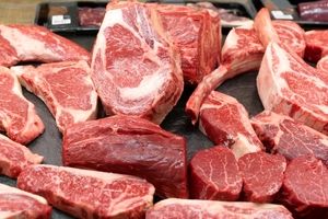 قیمت گوشت شتر قطعه بندی در غرفه تره بار