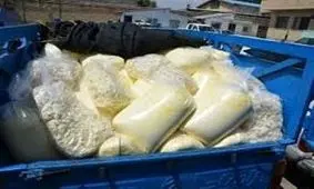 ۱۵۰۰ کیلوگرم پنیر فاسد در اردبیل کشف شد