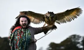 دنیای جغدها به روایت تصویر