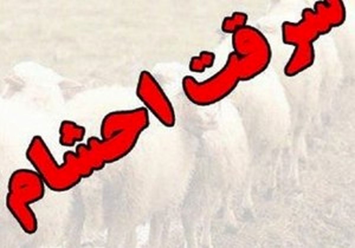 دستگیری سارقان احشام در شهرستان پلدختر