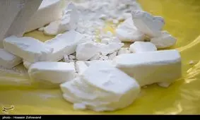 دستگیری قاچاقچی کوکایین در غرب کشور/کشف ۱۷۰ میلیارد تومان از اموال قاچاقچی