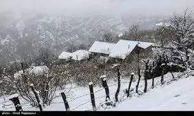 طلسم بارش برف در مشهدمقدس شکسته شد