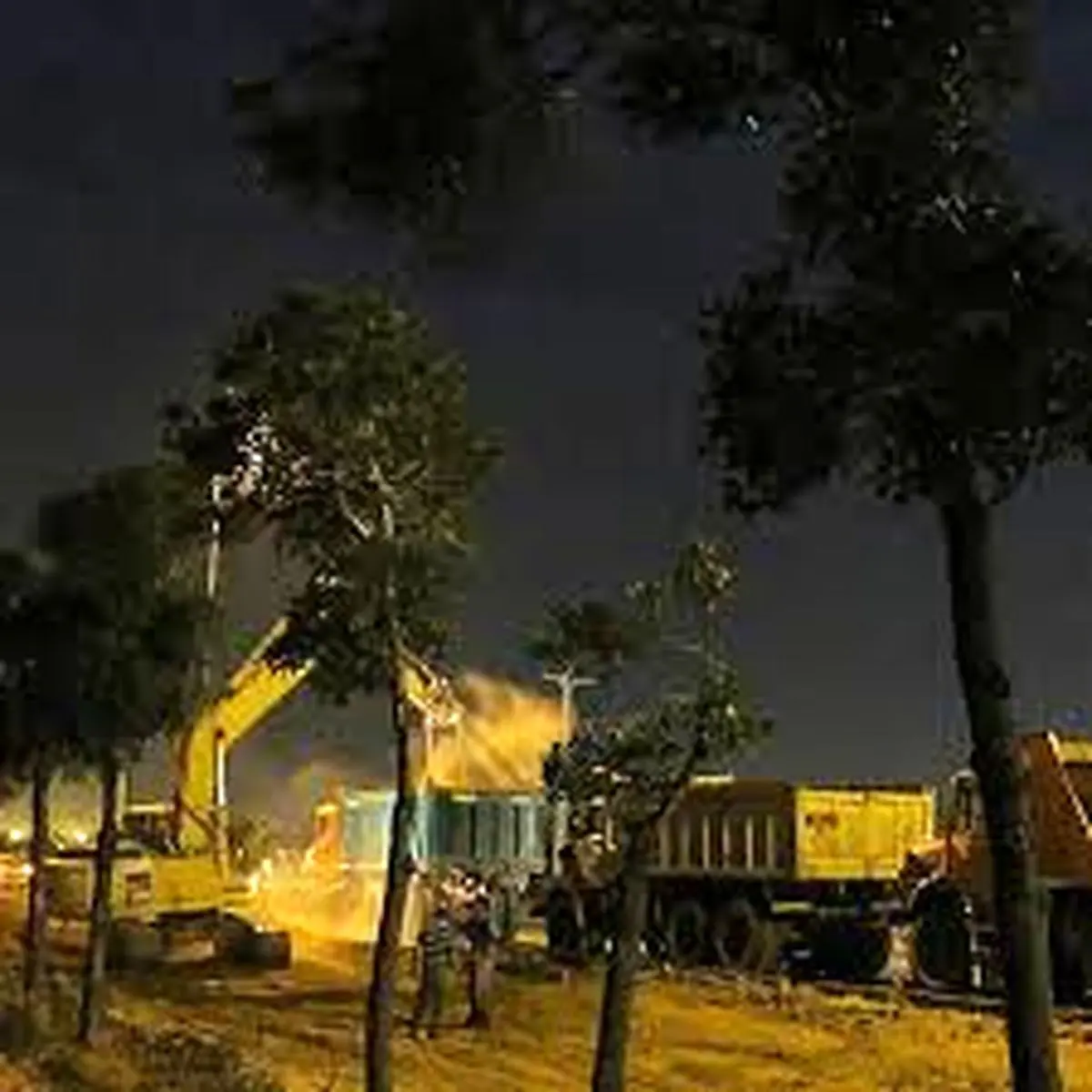 حمل شبانه درختان قطع شده در اتوبان تبریز-زنجان/فیلم