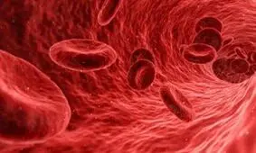 رابطه ویروس HPV و سرطان