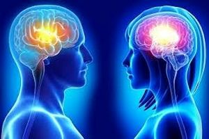مغز زنان جوان تر است یا مردان؟