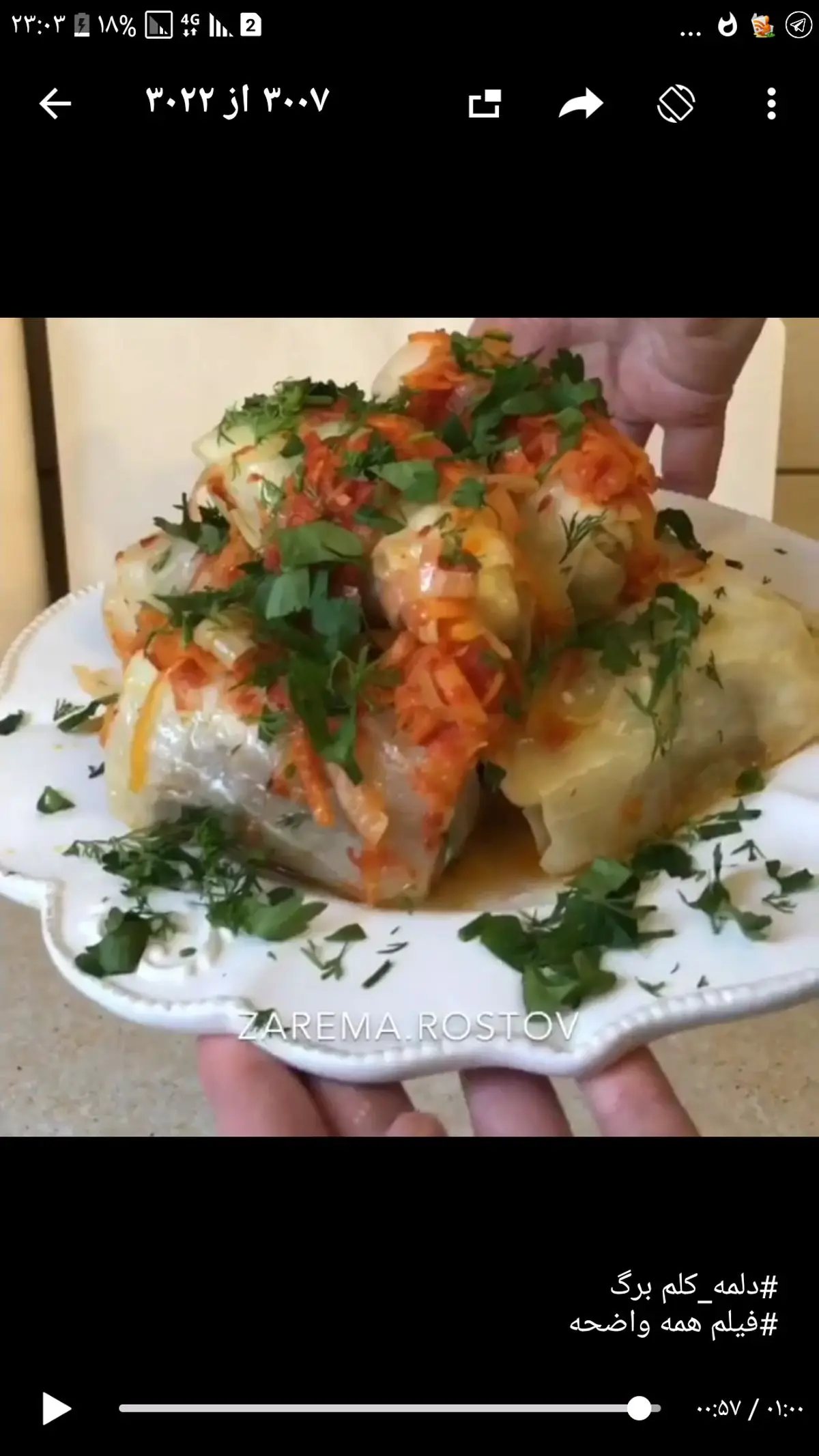 طرز تهیه دلمه کلم برگ +فیلم