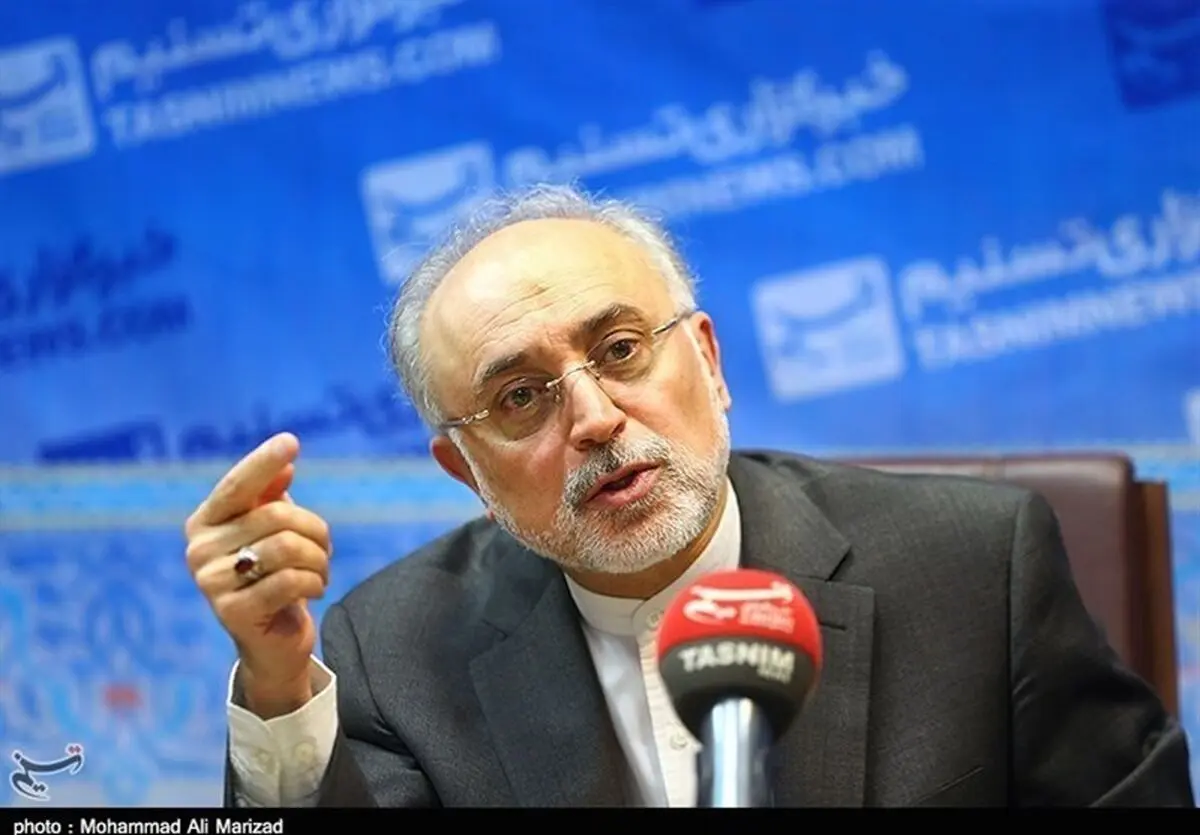 صالحی در مصاحبه با المیادین: اگر طرف‌های متعهد در بازطراحی رآکتور اراک وقت‌کشی کنند ایران کار خود را جلو می‌برد